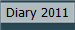 Diary 2011