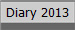 Diary 2013