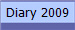 Diary 2009